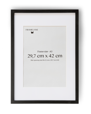 2 Black Oak Frames, 29.7x42 cm (A3)